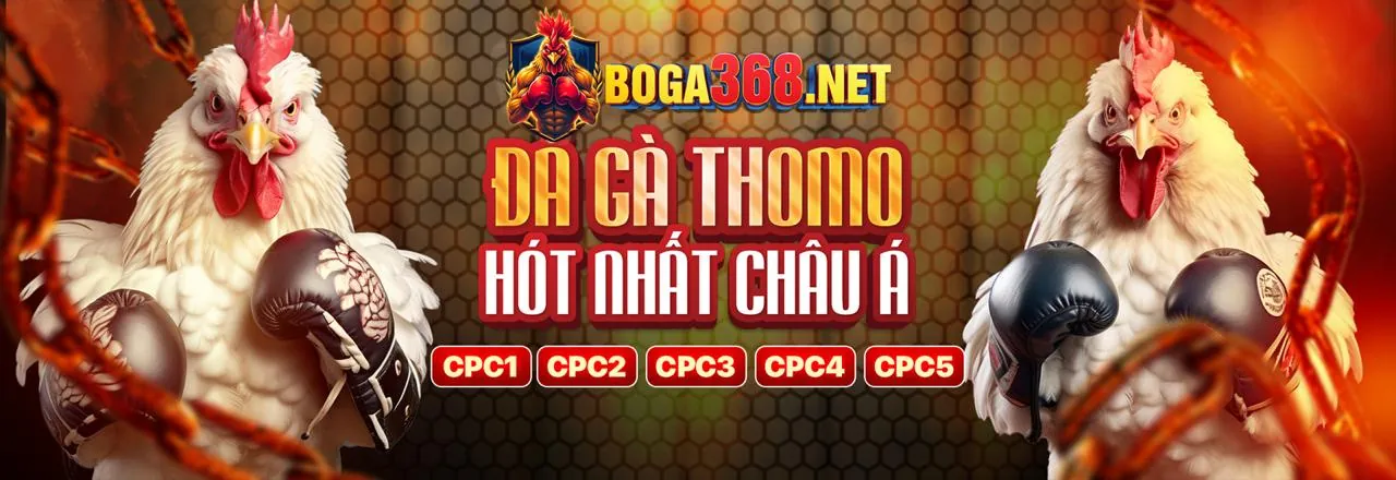 Hình ảnh khuyến mãi tham gia 13win Code và nhận ưu đãi